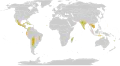 In den gelb eingefärbten Gebieten gibt es Trockenwälder.