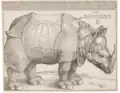 Im Jahr 1515: So hat Dürer sich ein „Rhinocerus“ vorgestellt.