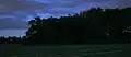 Abends auf einem Feld. Weil sie so schnell fliegen, zeigt das Foto nur leuchtende Streifen.