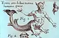 Triton war eines der vielen Kinder Poseidons, die der Gott nicht nur mit seiner Frau hatte. Triton war halb Mann, halb Fisch, wie bei einer Meerjungfrau.
