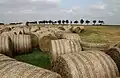Nach der Ernte des Getreides wird das Stroh zu großen Rollen gepresst.