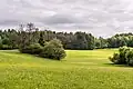 Mischwald an der Federauner Straße
