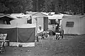 Auf einem Campingplatz in den Niederlanden, im Jahr 1972