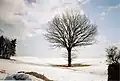 ... und im Winter