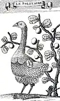 Der Rodrigues-Solitär war mit dem Dodo nahe verwandt, starb aber ein paar Jahrzehnte später auch aus.
