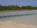 …in Ägypten…