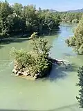 Diese Insel in der Aare gehört zu den kleinsten Inseln der Schweiz.