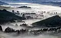 Nebel in einem Tal in Neuseeland