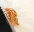 Lachs in einer Vakuumverpackung