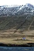 Dieser Boden bekam Wellen, weil der Hang langsam abfließt.