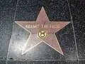 Im Walk of Fame sind Sterne mit den Namen von Stars eingelassen. Hier: Kermit, der Frosch.