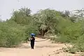 Eine Landschaft in Burkina Faso, einem weiteren Land in der Sahelzone