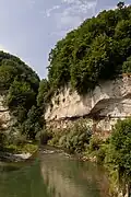 Der Fluss Saane hat sich tief in den Sandstein gegraben.