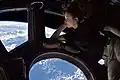 Die Astronautin Tracy Caldwell Dyson schaut aus der „Cupola“, einem Ort für den Ausblick.