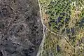 Im Aspromonte-Nationalpark in Italien: links hat es gebrannt.