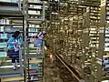 In der größten Bibliothek von Mexiko