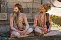 Auch Hindu-Mönche tragen Dreadlocks