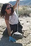 Mit dieser Federwaage wiegt die Wissenschaftlerin eine Schildkröte.