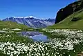Bergsee in der Schweiz
