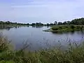 Hier fließt die Lausitzer Neiße in die Oder.