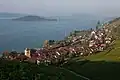 Berge mit Weinreben um das Dörfchen Twann am Bielersee im Berner Seeland