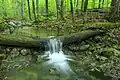 Das Wildnisgebiet Dürrenstein in Österreich hat noch ein unberührtes Kerngebiet.