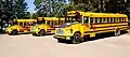 Schulbusse in den USA