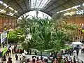 Die Bahnhofshalle des Bahnhofs Atocha ist heute ein Palmengarten.