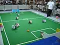 Die Aibos-Roboterhunde aus Japan spielen Fußball.