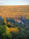 Über die Hälfte des Landes ist von Wald bedeckt.