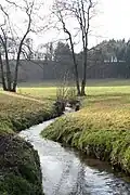Dieses Bächlein fließt recht zahm über die Wiese.