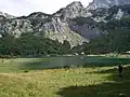 Viele Liebhaber der Natur besuchen den Nationalpark von Sutjeska.