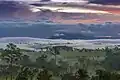 Neblige Landschaft im Nationalpark Thung Salaeng Luang