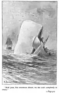 Aus dem Roman „Moby Dick“