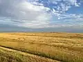 Eine Grassteppe in den Großen Ebenen in Nordamerika