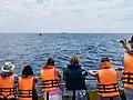 Bei Sri Lanka beobachten diese Menschen Blauwale vom Boot aus.