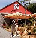 Das Bernhardiner-Museum steht im Kanton Wallis.