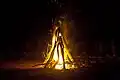 Oft entstehen Waldbrände nämlich dadurch, dass Menschen nicht aufpassen. Zum Beispiel, wenn sie ein Lagerfeuer nicht richtig löschen.