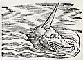 Vor 450 Jahren zeichnete jemand so ein Seemonster.