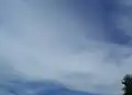 Schleierwolken