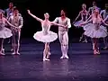 Oft wird Ballett als Paar getanzt.
