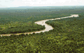 Ein Fluss und nichts als Regenwald im afrikanischen Senegal