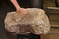 Ein Mahlstein aus der Steinzeit