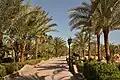 Eine Promenade mit Palmenbäumen, in Sharm el-Sheikh in Ägypten