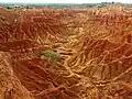 Die Tatacoa-Wüste wird von Canyons durchzogen.
