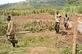 Die meisten Menschen leben von der Landwirtschaft.