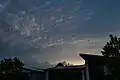 Schwarze Flughunde am Himmel