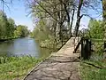 Bei Lübben im Spreewald