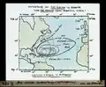 Aale schwimmen weit hinaus in den Atlantischen Ozean, um dort ihre Eier zu legen. Von dort aus starten die Jungtiere ihren weiten Weg in die heimatlichen Flüsse.