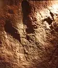 Die Spur eines Dinosauriers